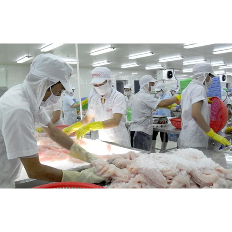 Kho bảo quản thủy sản